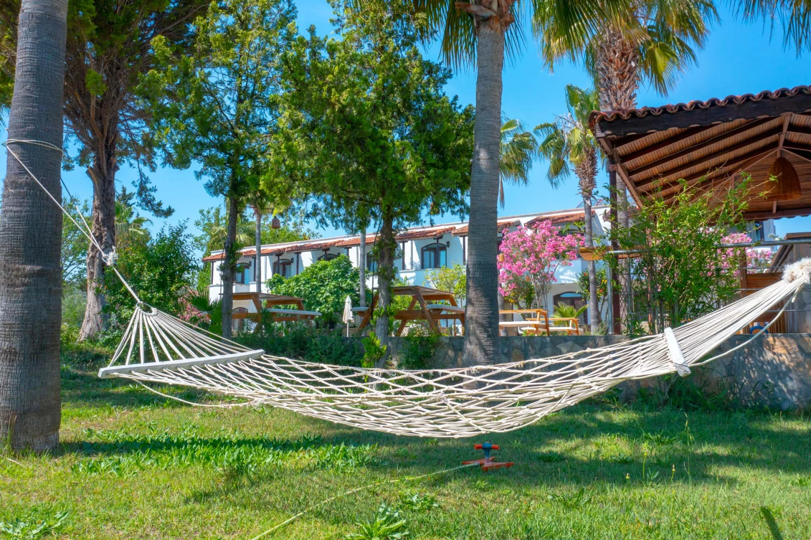 A hammock between the palms in the garden at Xanthos